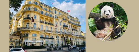 Wien: Austria Trend Parkhotel Schönbrunn ****s, inkl. Parkeintritt für 89€ pro Person
