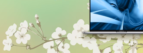 Spare bis zu 25% auf Apple MacBooks bei AfB: Dein Frühlingserwachen!
